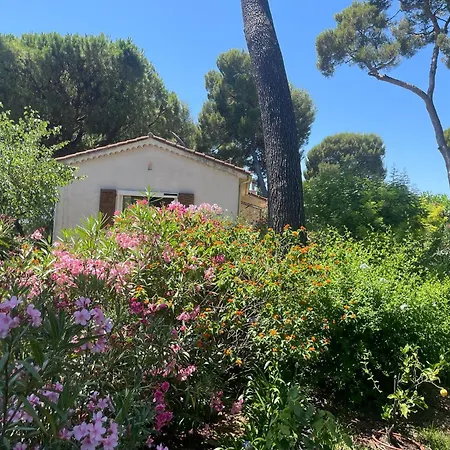 Dans Grand Jardin Provencal أنتيب