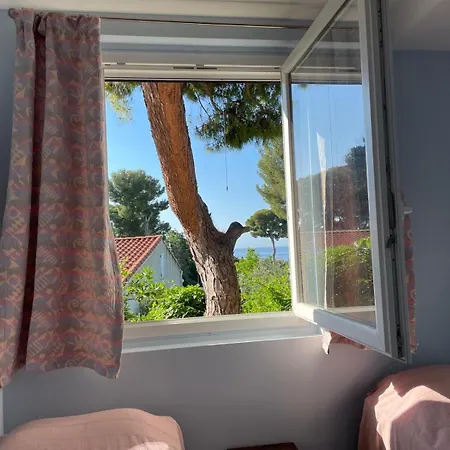 Dans Grand Jardin Provencal شقة أنتيب