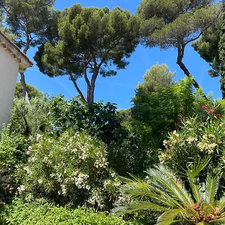 Dans Grand Jardin Provencal Appartamento *