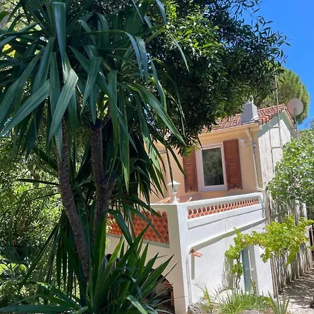 Dans Grand Jardin Provencal Appartamento