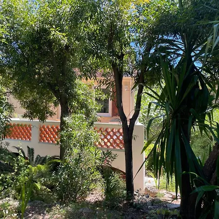 Dans Grand Jardin Provencal Appartement